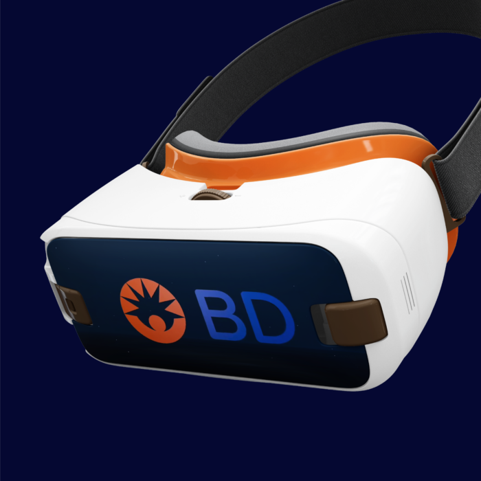 BD VR Project